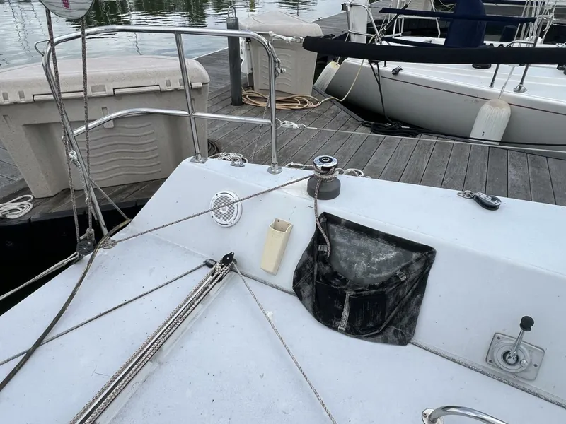 Slide: The Image of Carroll Mumm 36 1993 - 5424131