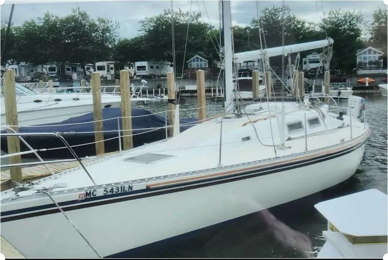 The Image of Morgan Nelson Marek 1983 - 5424111