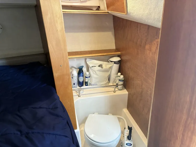 Slide: The Image of Cutwater C-24 Coupe 2022 - 5428116