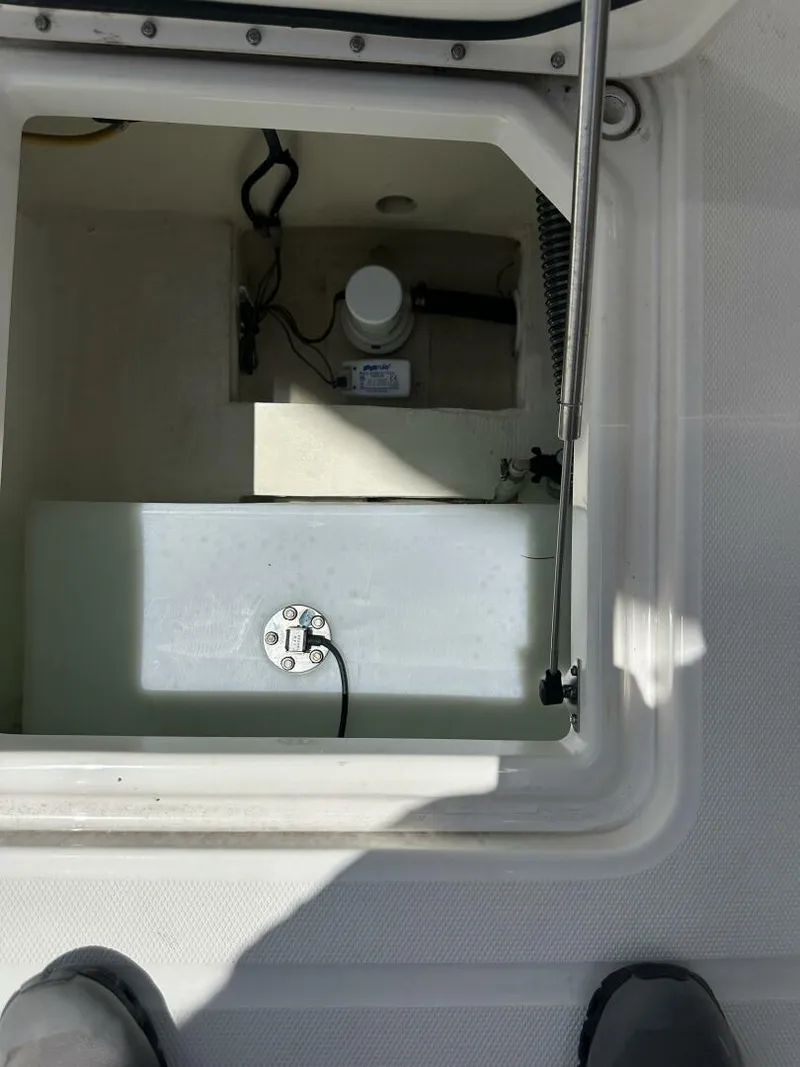 Slide: The Image of World Cat 280CCX 2024 - 5425601