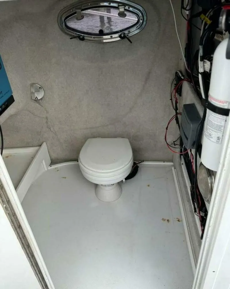 Slide: The Image of Glacier_bay_2665_head - 5427686