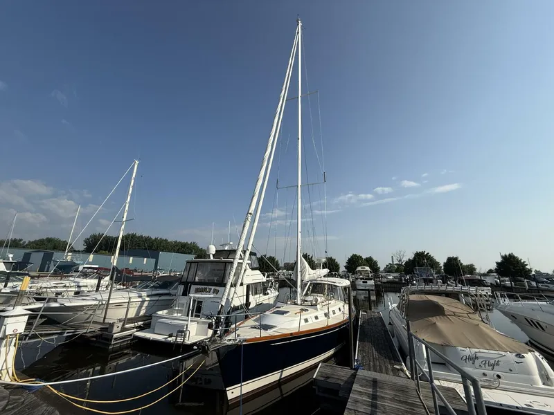 Slide: The Image of Tartan 4300 2011 - 5450329