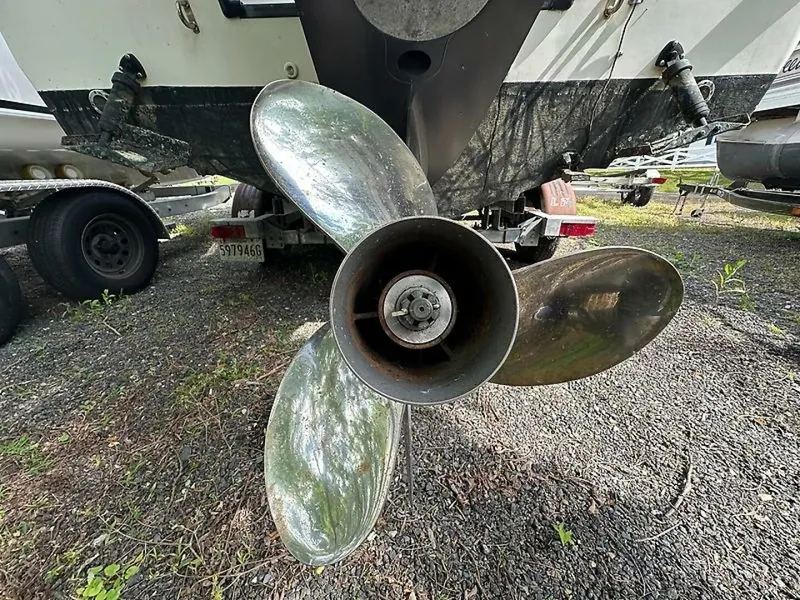 Slide: The Image of 0005213615 - 5428037