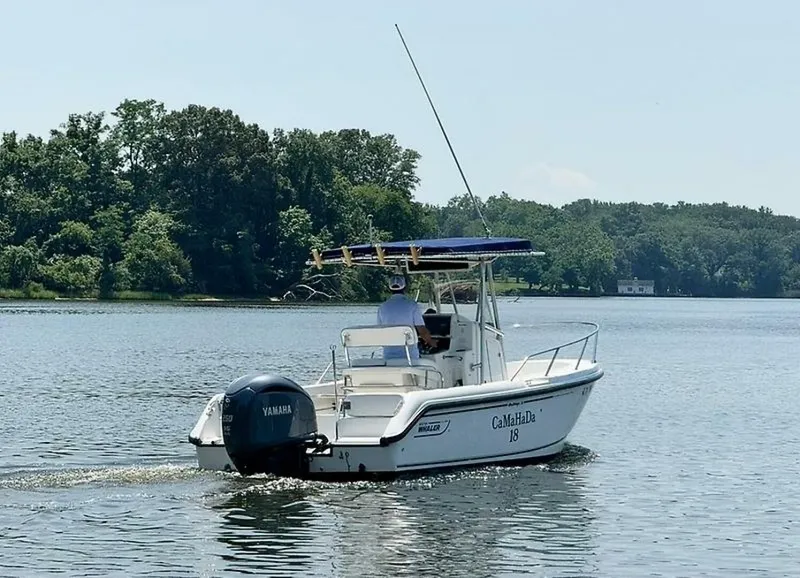 Slide: The Image of 0005250387 - 5463304