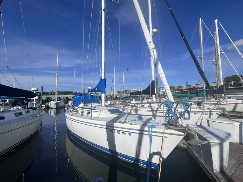 The Image of Catalina 36 1989 - 5428376