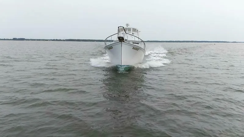 Slide: The Image of 0005188272 - 5433788