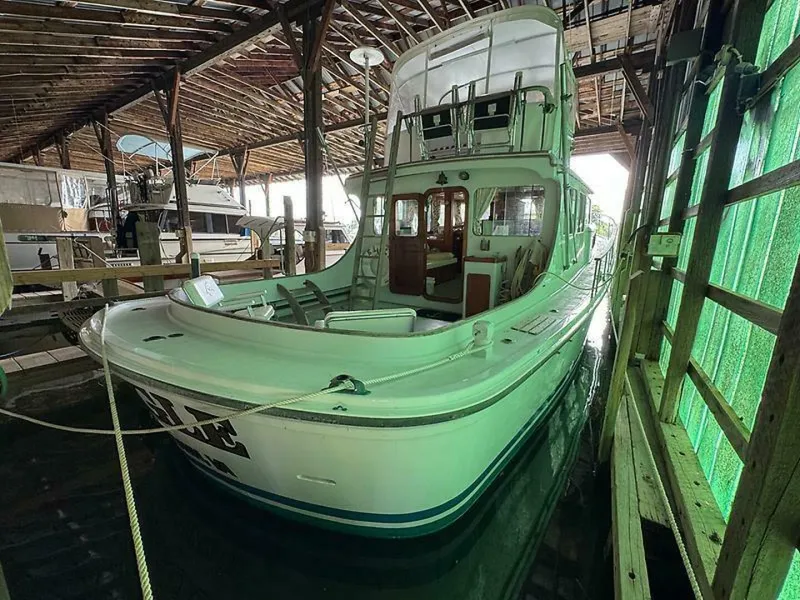 Slide: The Image of 0005187959 - 5433781