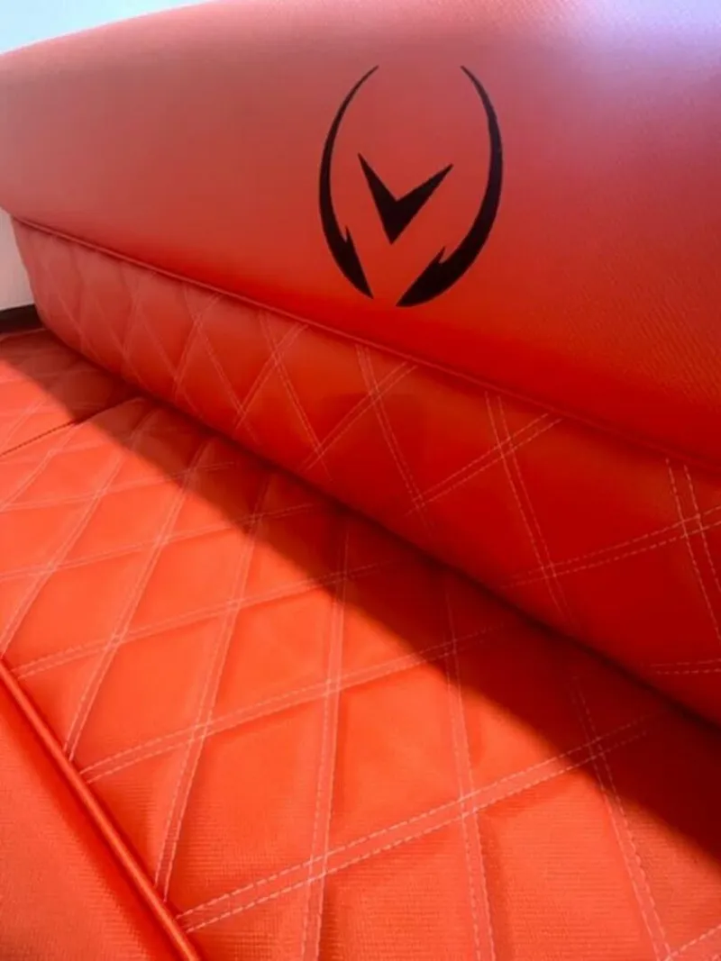 Slide: The Image of Vision Fantail 217 2024 - 5434002