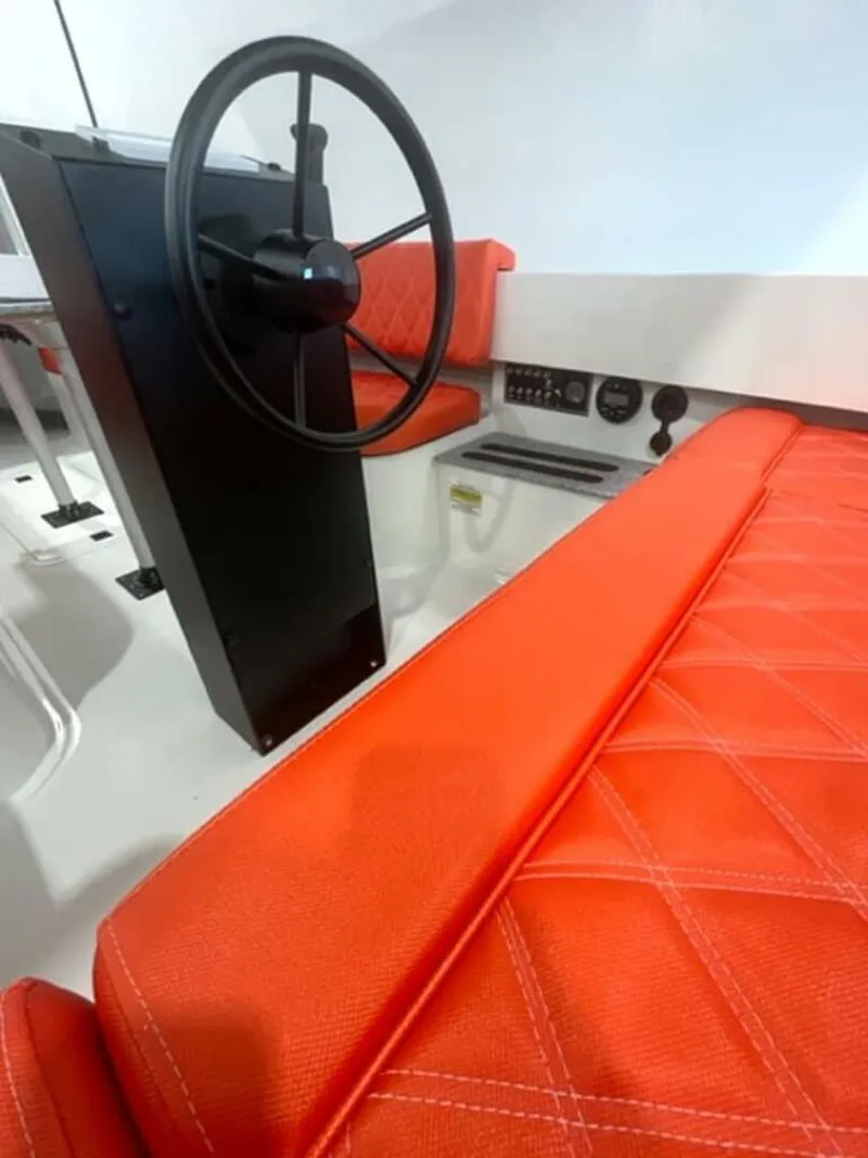 Slide: The Image of Vision Fantail 217 2024 - 5434003