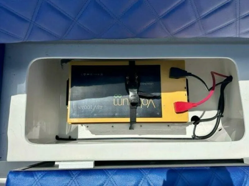 Slide: The Image of Vision Fantail 217 2024 - 5434022