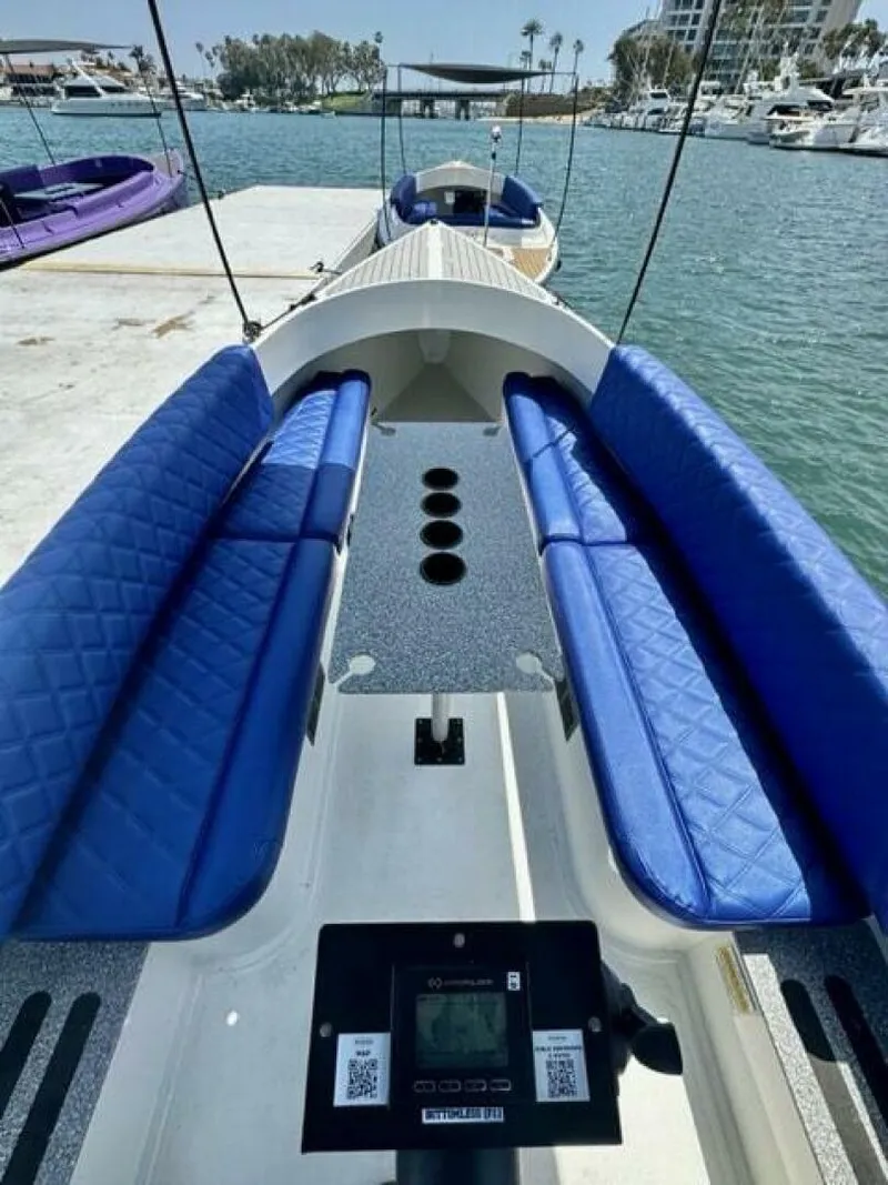 Slide: The Image of Vision Fantail 217 2023 - 5434188