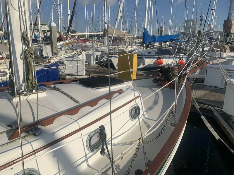 Slide: The Image of Pacific Seacraft Orion 1984 - 5519170