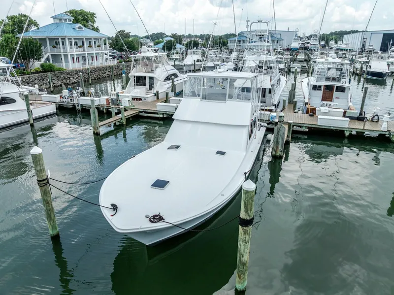 Slide: The Image of Viking 50 1995 - 5437528