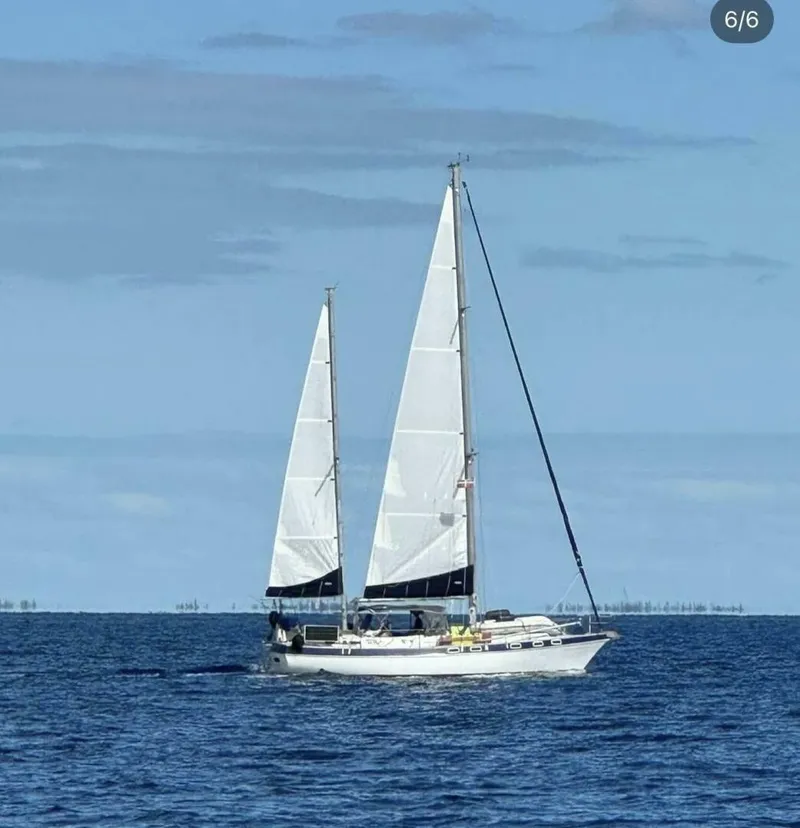 The Image of Morgan 41 1982 - 5852951