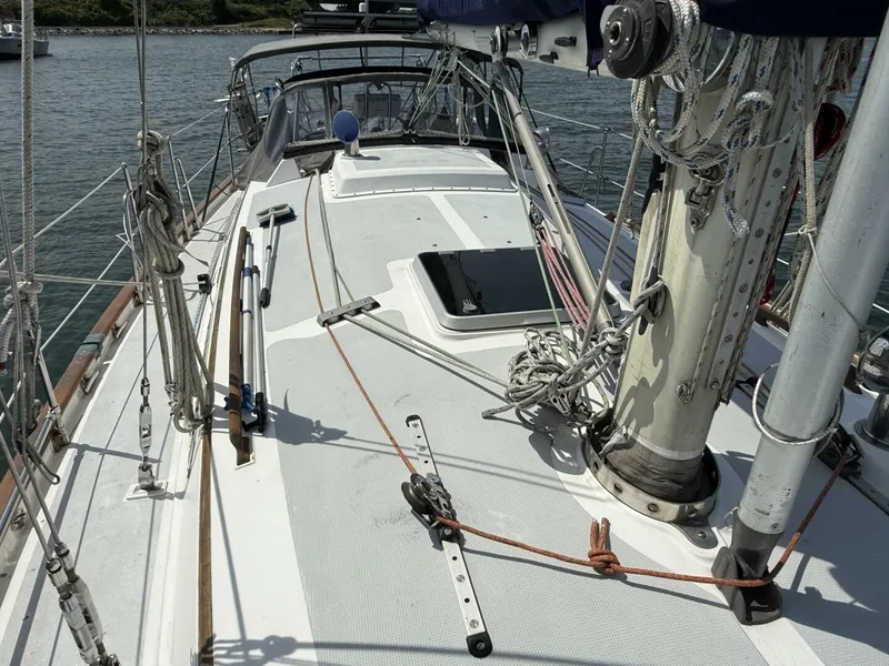 Slide: The Image of Passport 40 1988 - 5441124