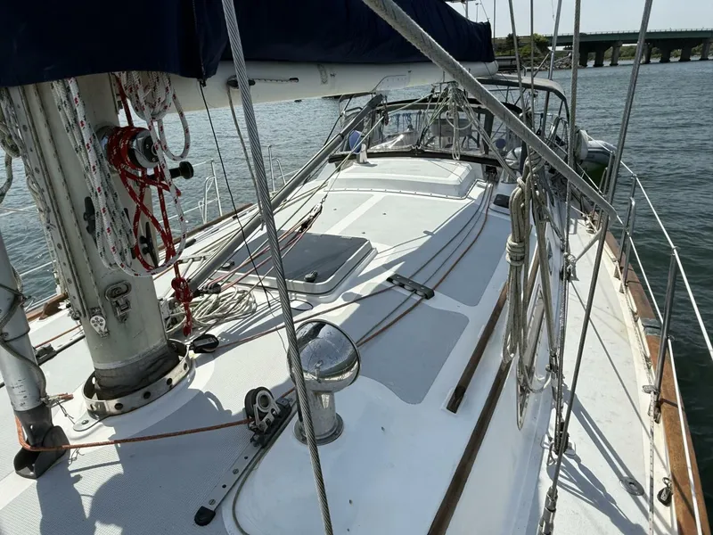 Slide: The Image of Passport 40 1988 - 5441125