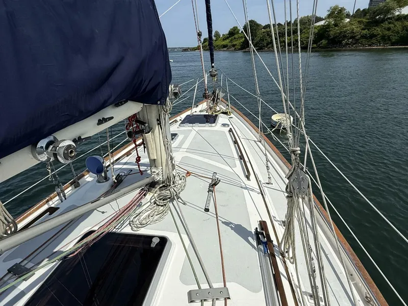 Slide: The Image of Passport 40 1988 - 5441133