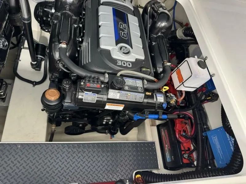 Slide: The Image of Formula 290 BR 2024 - 5447261