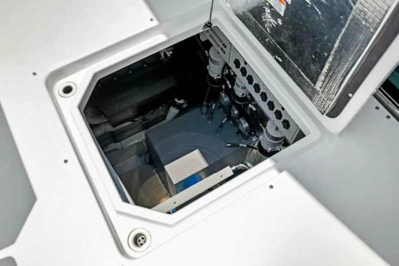 Slide: The Image of 2022 50 Cruisers Cantius - Mint 2 Bee -  - 5449687