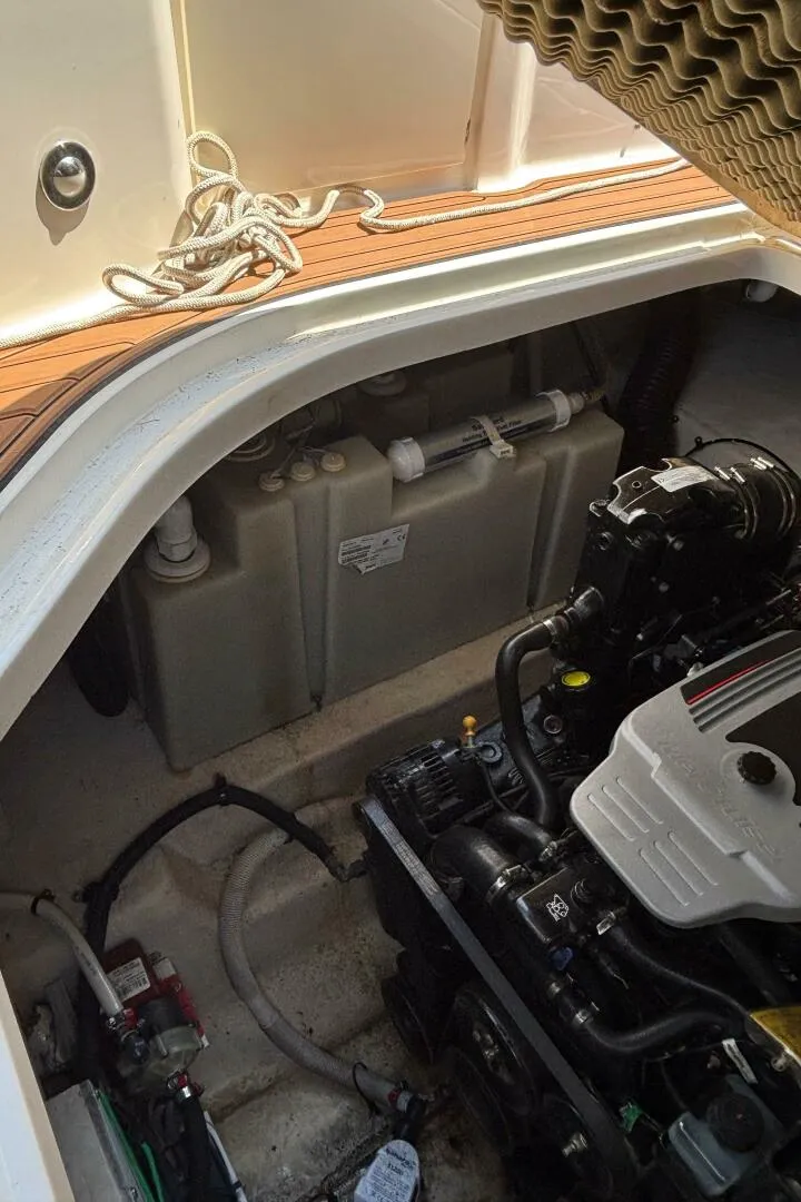 Slide: The Image of Sea Ray 270 Sundancer 2009 - 5451301