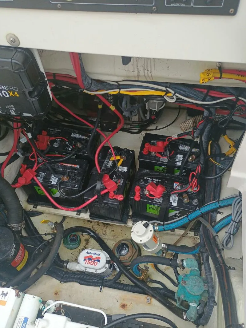 Slide: The Image of Seaswirl Striper 2007 - 5722166