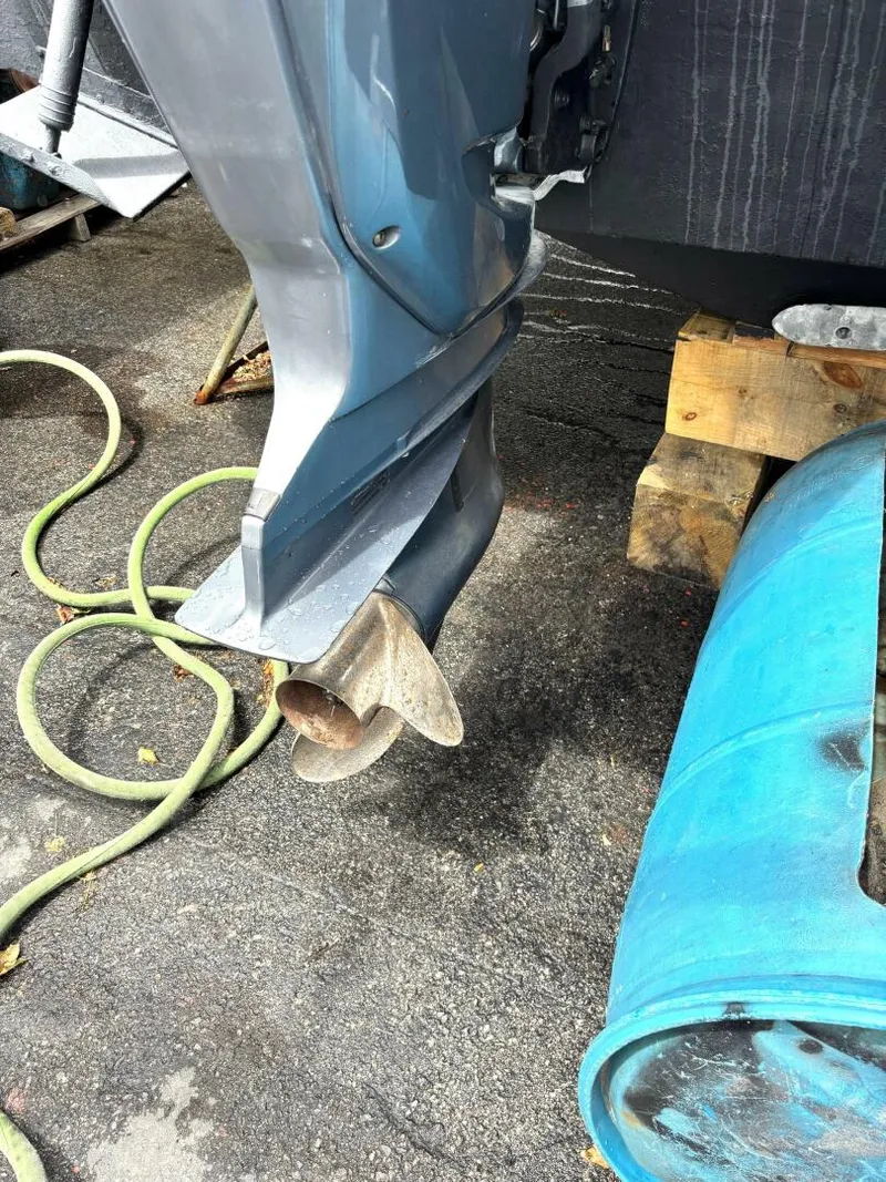 Slide: The Image of Seaswirl Striper 2007 - 5452238