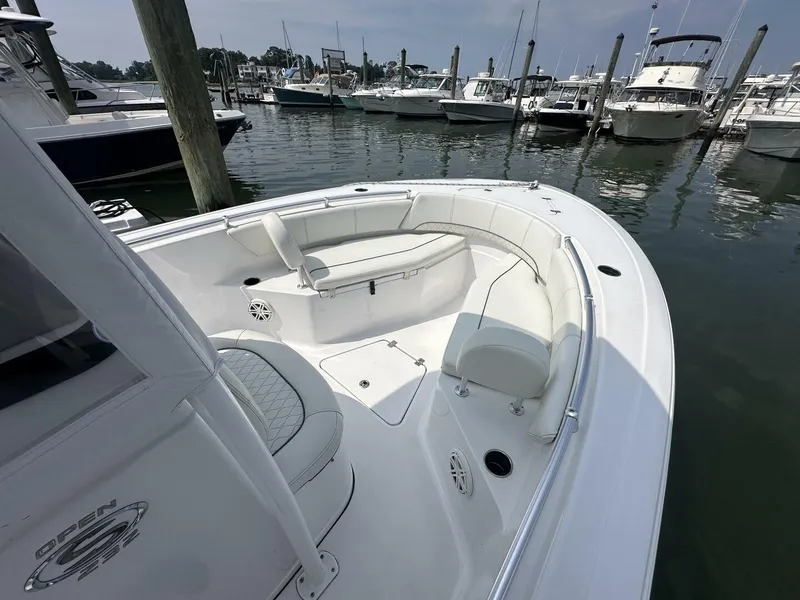 Slide: The Image of Sportsman 232 Open Platinum 2020 - 5452957