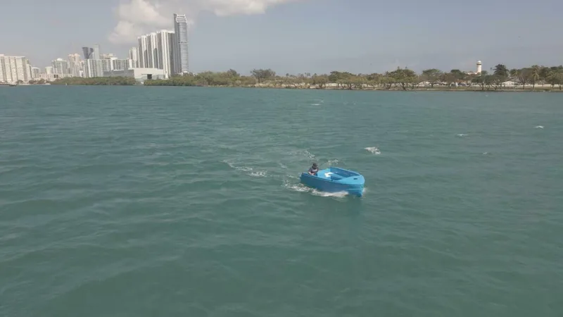 Slide: The Image of Vision Phantom 2024 - 5454339