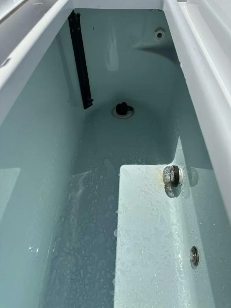 Slide: The Image of Sportsman 227 Masters Platinum 2019 - 5502867