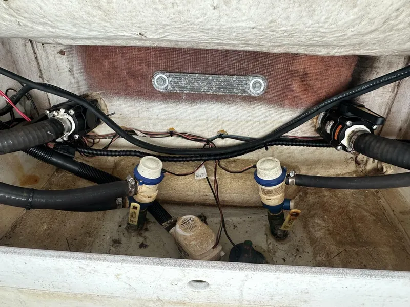 Slide: The Image of Sportsman 227 Masters Platinum 2019 - 5502869