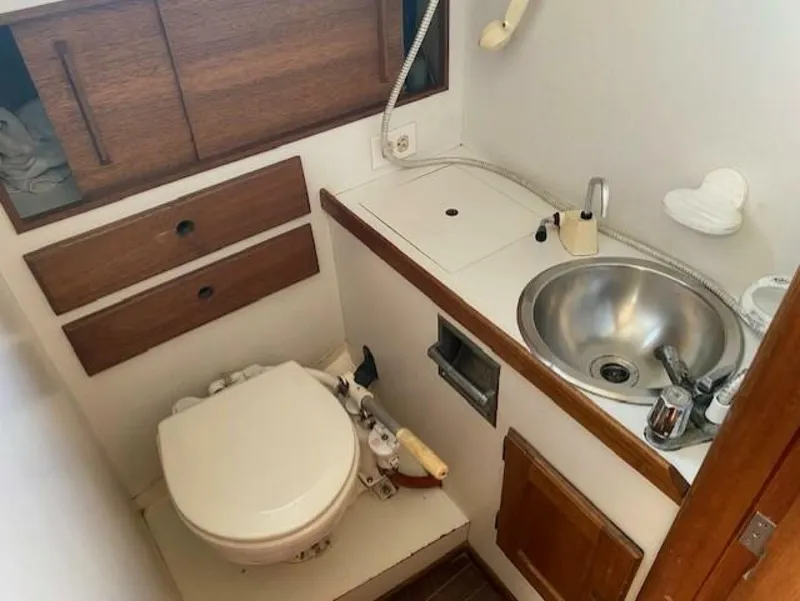 Slide: The Image of Enclosed Head - 5459130