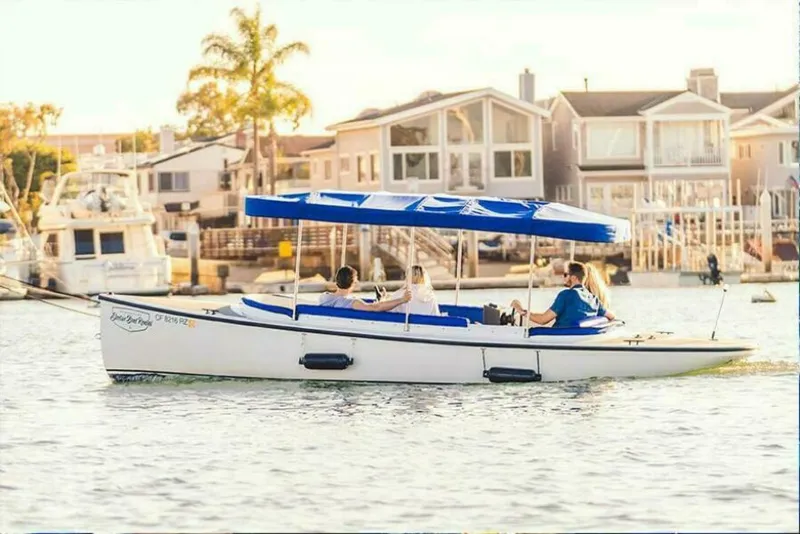 Slide: The Image of Vision Fantail 217 2023 - 5459285