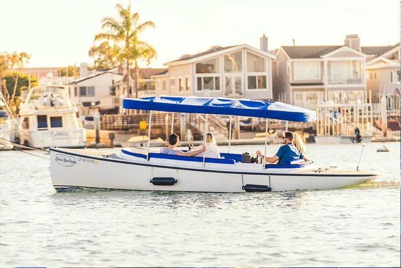 Slide: The Image of Vision Fantail 217 2024 - 5459401