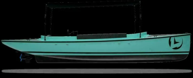 Slide: The Image of Vision Fantail 217 2024 - 5460173