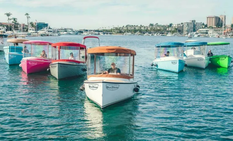 Slide: The Image of Vision Fantail 217 2023 - 5460869