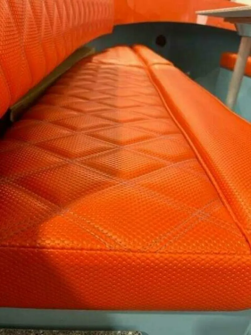 Slide: The Image of Vision Fantail 217 2023 - 5460876