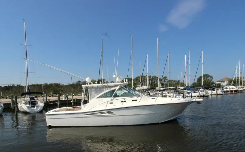 Slide: The Image of Profile - 5463775