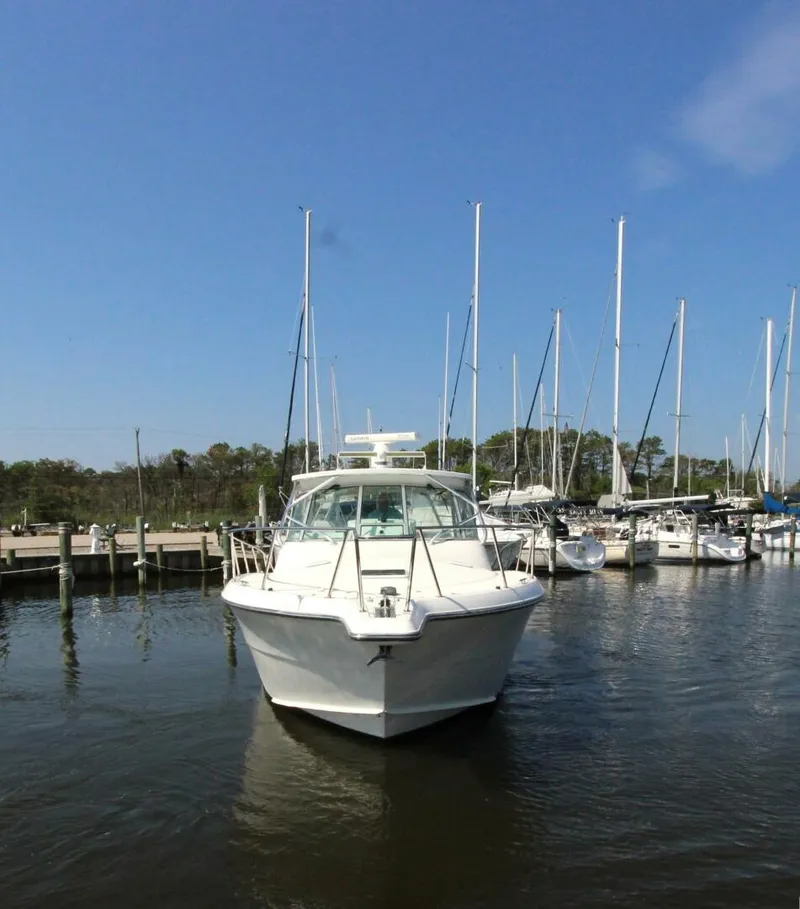 Slide: The Image of Bow Profile - 5463736