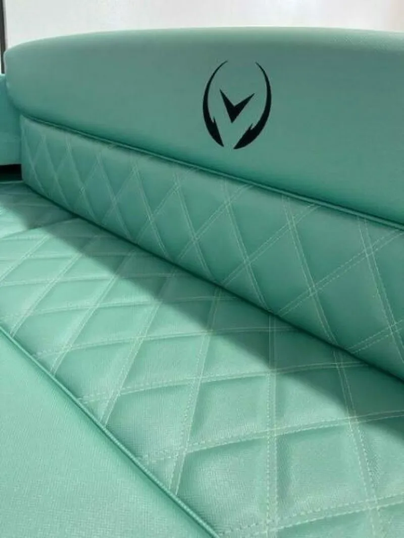 Slide: The Image of Vision Fantail 217 2023 - 5464010