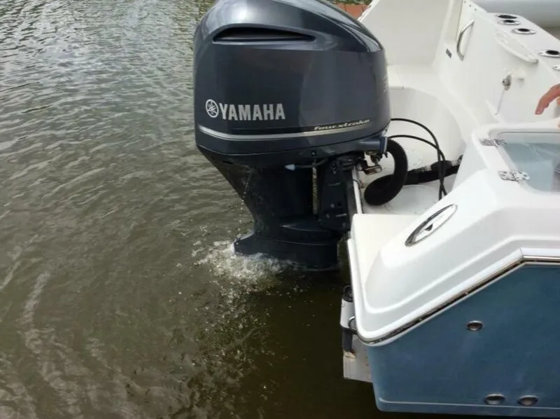 Slide: The Image of Sailfish 24 2011 - 5477677