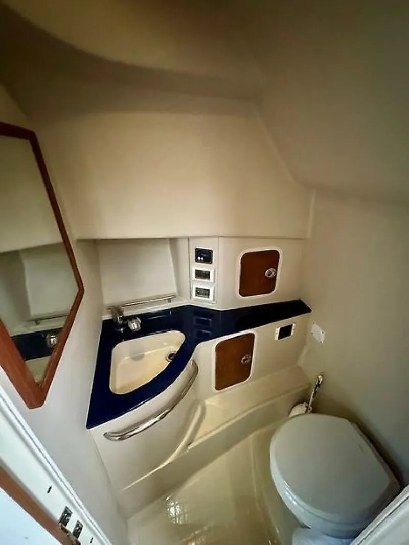 Slide: The Image of 0005256117 - 5510551