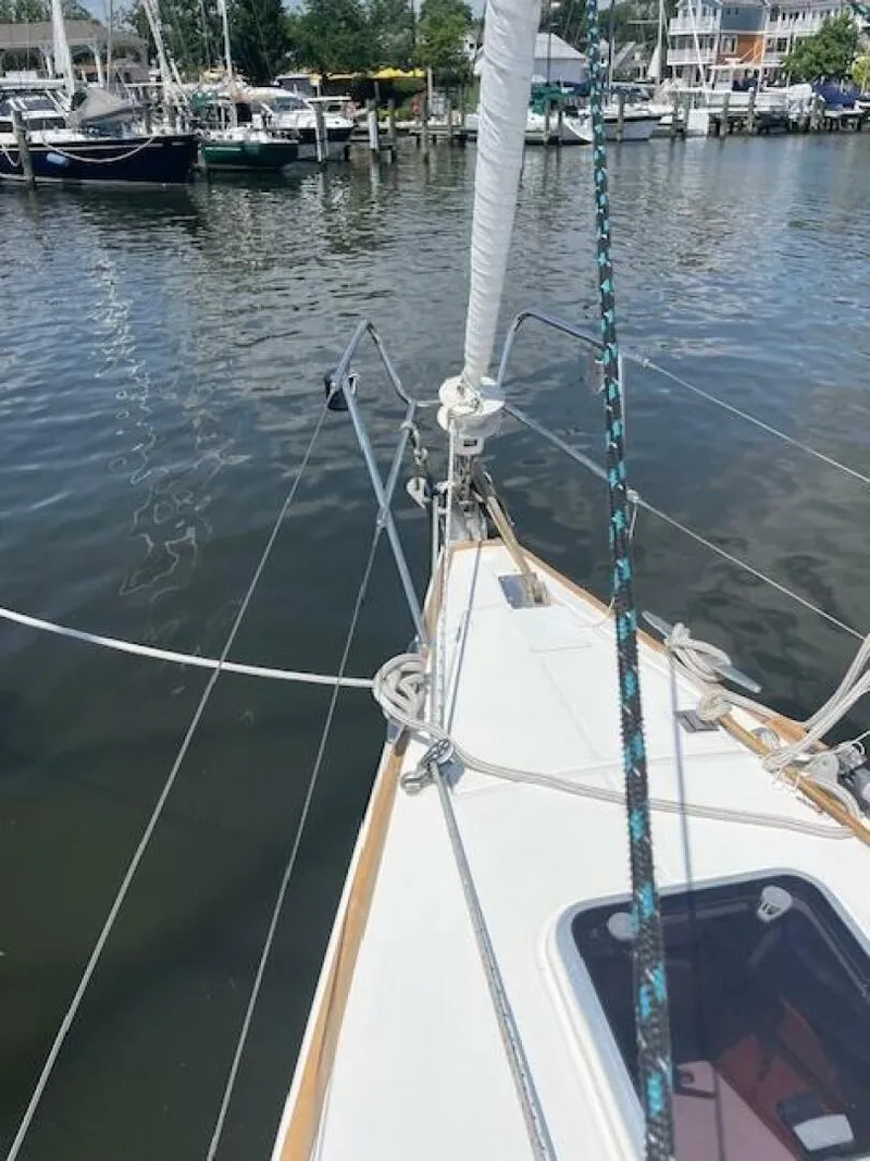 Slide: The Image of Wauquiez 40s 2004 - 5474115