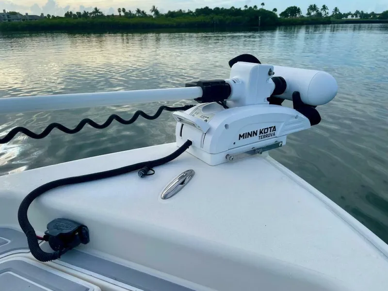 Slide: The Image of Shearwater 25 2009 - 5475924