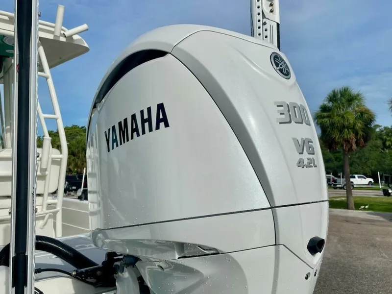 Slide: The Image of Shearwater 25 2009 - 5475925