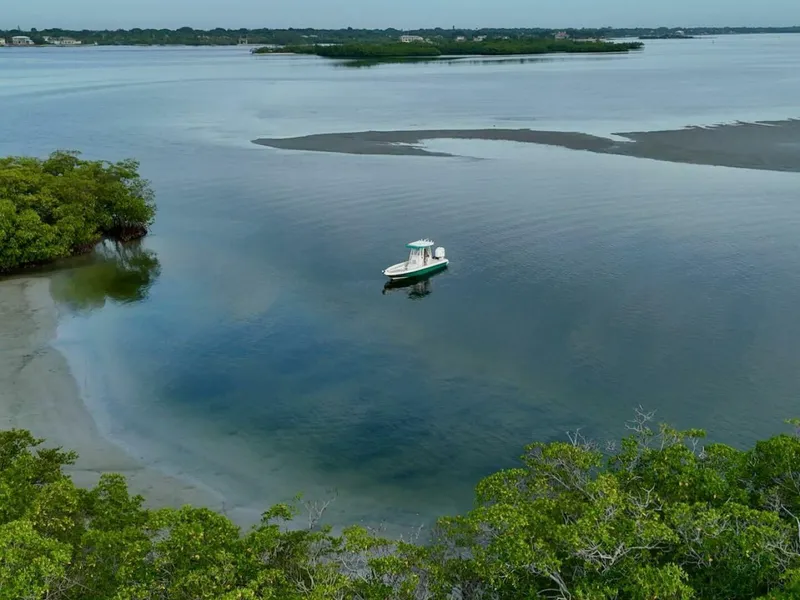 Slide: The Image of Shearwater 25 2009 - 5475929