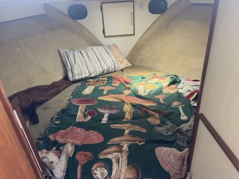 Slide: The Image of Tollycraft 30 1985 - 5476577