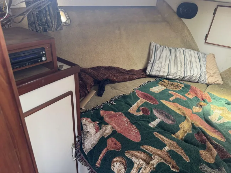 Slide: The Image of Tollycraft 30 1985 - 5476576