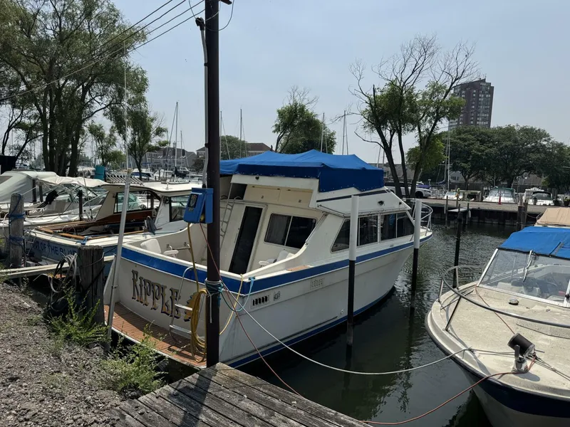 Slide: The Image of Tollycraft 30 1985 - 5476592