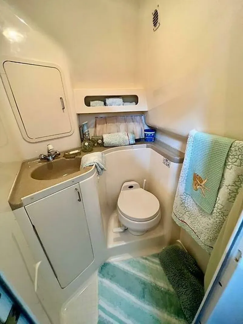 Slide: The Image of 0005096270 - 5478172