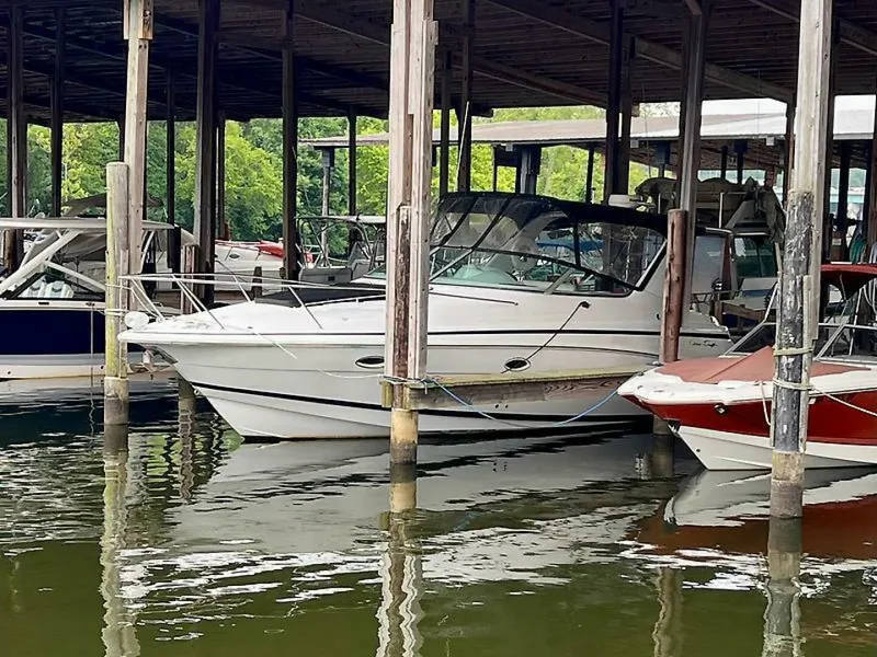 Slide: The Image of 0005096259 - 5478149